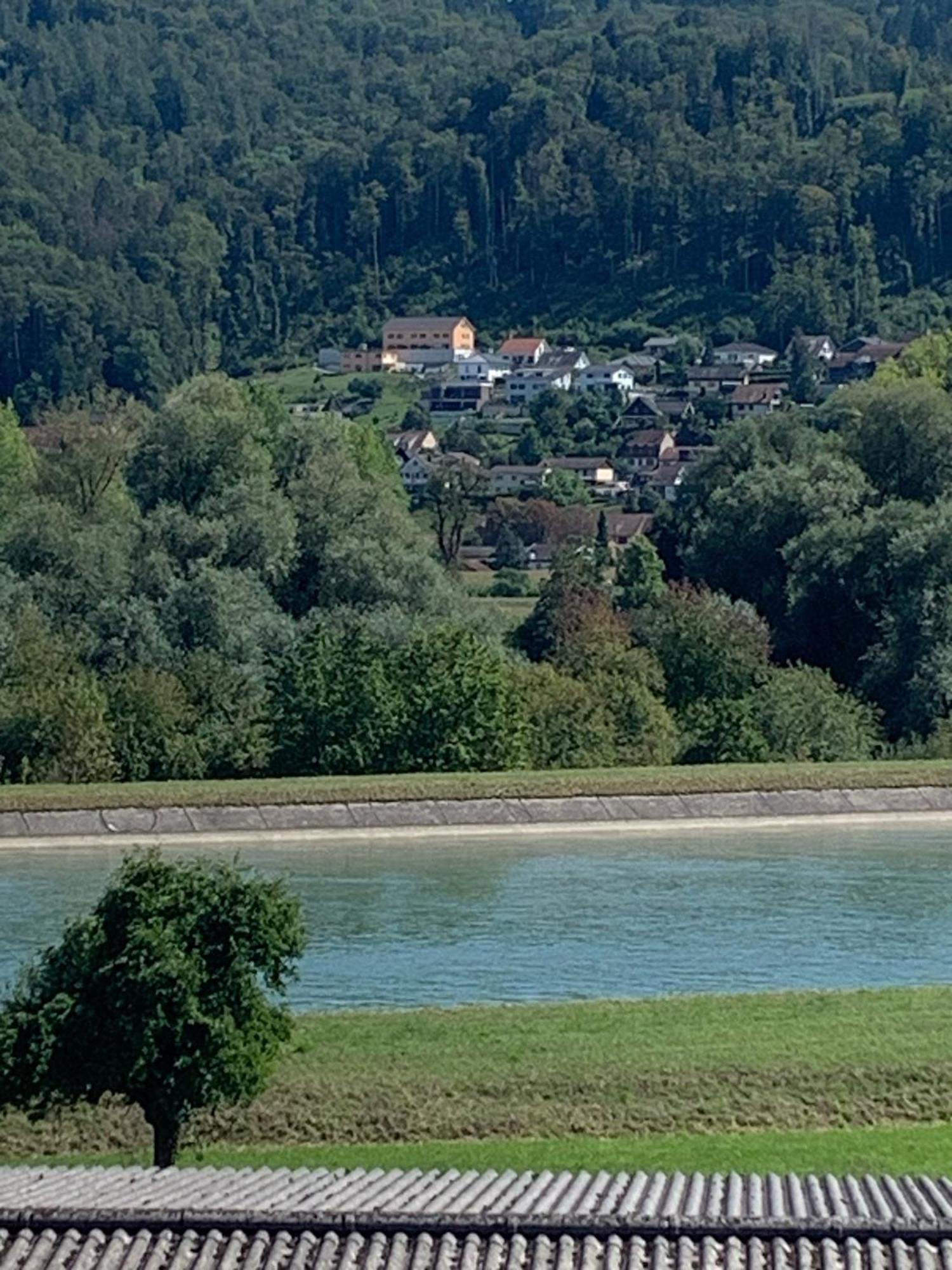Hochrhein Ferienwohnung Albbruck ภายนอก รูปภาพ