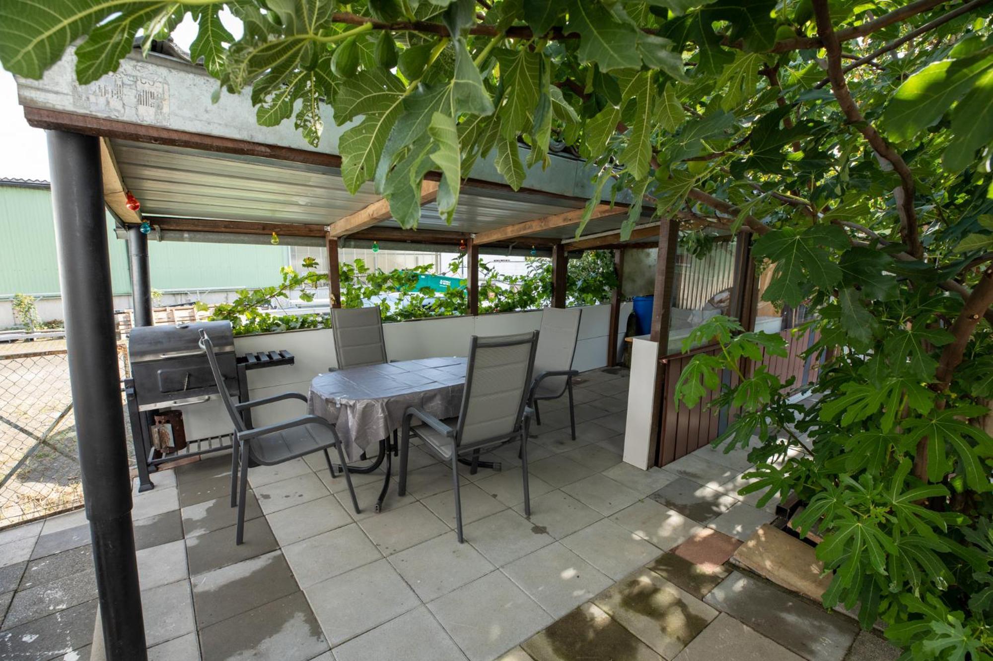 Hochrhein Ferienwohnung Albbruck ภายนอก รูปภาพ
