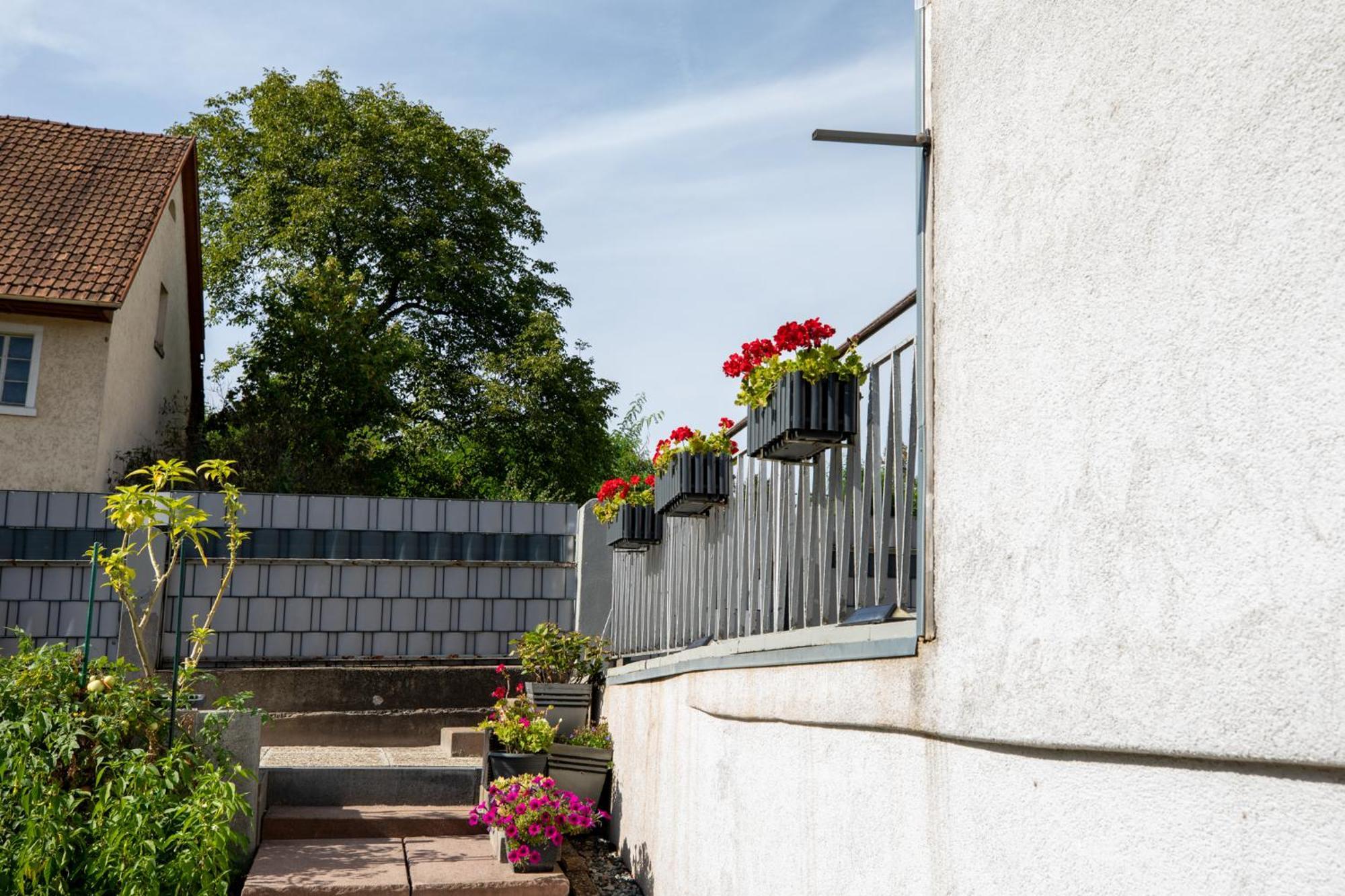 Hochrhein Ferienwohnung Albbruck ภายนอก รูปภาพ